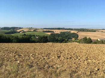 Excursión Senderismo La Louvière-Lauragais - La Louvière Lauragais: 2819 - Photo