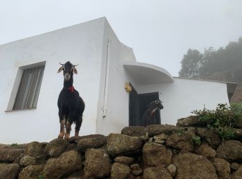 Tocht Stappen San Cristóbal de La Laguna - Las Carbonaras Chimada AR - Photo