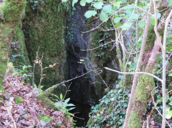 Tour Wandern Caniac-du-Causse - Caniac du Causse - Igues et grottes - Photo