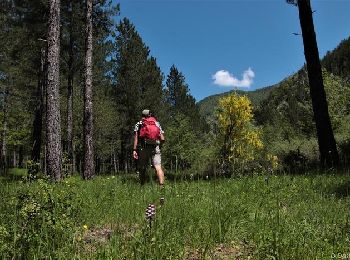 Tocht Te voet Aspres-sur-Buëch - 9587028 - Photo