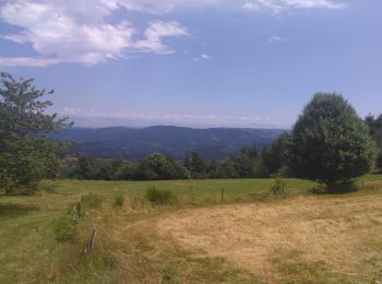 Excursión Senderismo Nozières - Autour de Nozières - Photo