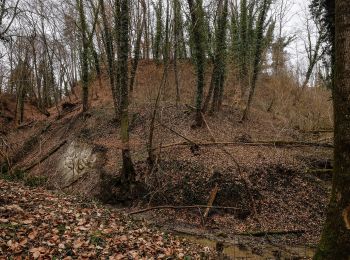 Tocht Te voet Markdorf - Wanderwege Markdorf: Pferdweg - Photo