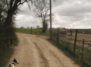 Tour Zu Fuß Canterbury - Canterbury Outer Ring Walk - Photo