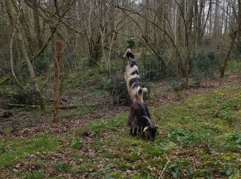 Trail Walking La Chapelle-des-Pots - la chapelle des pots - Photo