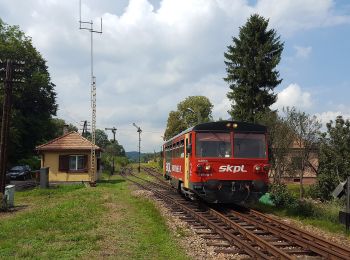 Percorso A piedi Kulaszne - Śladami dobrego wojaka Szwejka - Photo