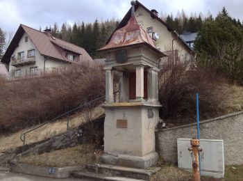 Tocht Te voet Mariazell - Mariazeller Land Rundwanderweg - Photo