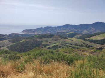 Randonnée V.T.T. Argelès-sur-Mer - Argelès sur Mer - Photo