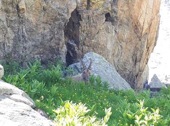 Randonnée Marche Entracque - Lacs Réservoirs Rovina Chiotas et Argentera - Photo
