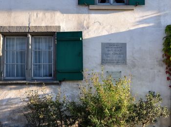 Percorso A piedi Zurigo - Höngg - Oberglatt - Photo