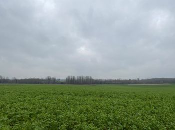 Randonnée Marche Brugelette - Brugelette - Gages - Bois de la provision - Lombise - Fouleng - Merveegnies Brugelette  - Photo