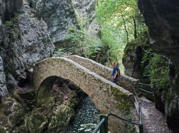 Tour Wandern Boudry - 29-07-24 gorges de l'Areuse - Photo