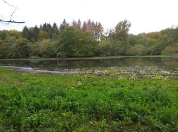 Trail Walking Cussey-sur-l'Ognon - vallée de l'ognon Cussey - Photo