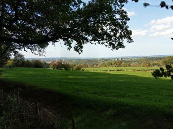 Randonnée A pied Eupen - Über Langesthaler Mühle und Clouseweiher zur Kanzelkrone - Photo