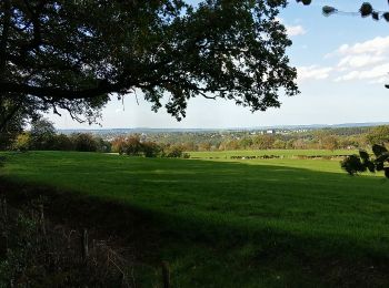 Excursión A pie Eupen - Über Langesthaler Mühle und Clouseweiher zur Kanzelkrone - Photo