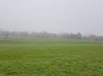 Tocht Stappen Borgloon - Borgloon - Photo