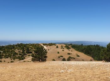 Percorso Mountainbike Lourmarin - lourmarin-émetteur Mourre Nègre - Photo