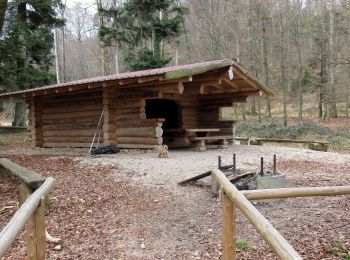 Randonnée Marche Ferrette - Ferrette Chalet de Koestlach au Kastelberg - Photo