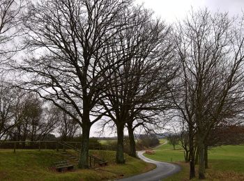 Tocht Te voet Michelstadt - Rundwanderweg Brombachtal 5 - Photo