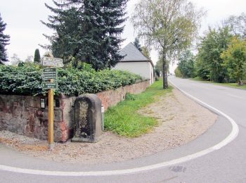 Percorso A piedi Wechselburg - Wechselburg – Winkeln - Photo