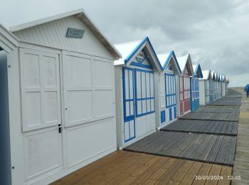 Trail Walking Cayeux-sur-Mer - entre le Hourdel et Cailleux - Photo