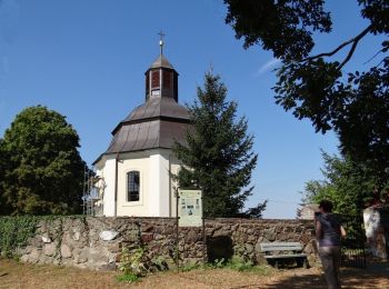 Excursión A pie Sulęcin - Sulęcin - Żubrów - Photo