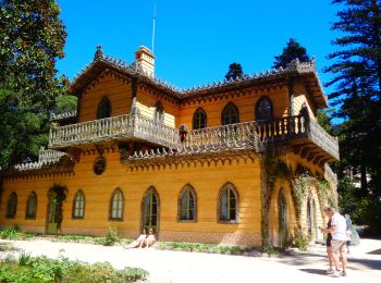 Randonnée A pied Sintra - Wikiloc:Sintra Parc da Pena (PVDB) - Photo