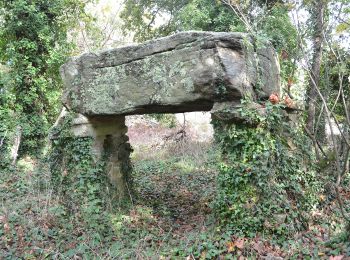 Excursión A pie La Baule-Escoublac - La petite marchande - Photo