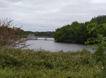 Tocht Stappen Château-Guibert - rando la maimborgere - Photo