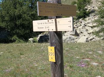 Tocht Stappen Entraunes - Estenc col de la boucharde - Photo