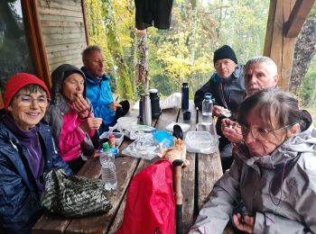 Trail Walking Steinbach - Rando CLAS du 02/11/2023 - Photo