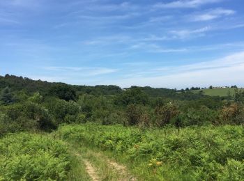 Tocht Stappen Jatxou - Jatxou Hasparren Landes d'Errobi - Photo