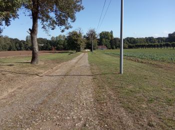 Tocht Stappen Montmorillon - balade Montmorillon - Photo