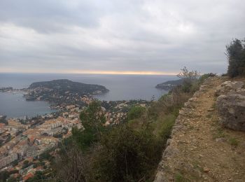 Excursión Senderismo Villefranche-sur-Mer - Balcons de Beaulieu 11.1.24 - Photo