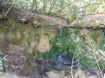 Tour Andere Aktivitäten Gan - GAN ecomobolite Patrimoine et geologie   3162323 - Photo