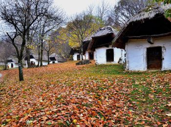 Tour Zu Fuß Güns - SO (Kőszeg - Velem - Kőszegfalva) - Photo