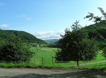 Tocht Te voet Schuttertal - Am Winterberg - Am Kapellenberg - Photo