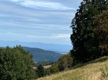 Trail Walking Kirchberg - Lochberg ferme auberge - Photo
