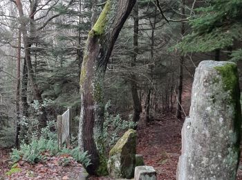 Randonnée Marche Mollkirch - sentier des demoiselles de Pierre - Photo