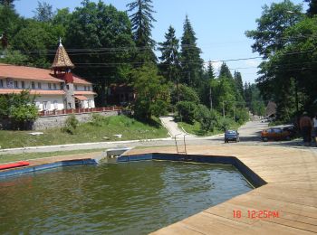 Tocht Te voet  - Arcuș - Băile Șugaș - Photo