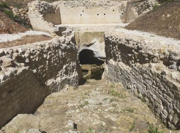 Tour Wandern Écoyeux - la roulerie - Photo