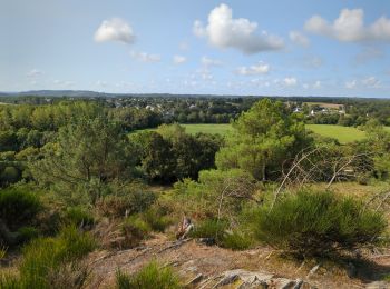 Excursión Senderismo Bains-sur-Oust - la baulouise par la potinais - Photo