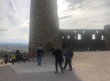 Randonnée Marche Châteauneuf-du-Pape - RS Châteauneuf du Pape - Photo