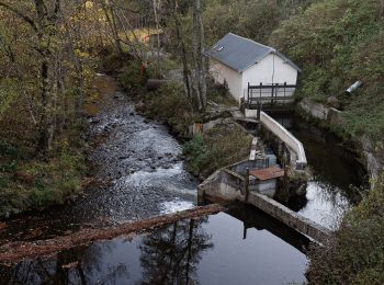 Excursión A pie Égliseneuve-d'Entraigues - Aulnay - Photo