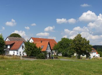 Randonnée A pied Obertrubach - Geschwand-Kleingesee - Photo