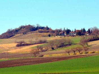 Tour Wandern Luzillat - Vendègre_Circuit_Paysager - Photo