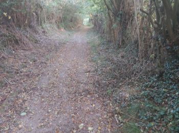 Tour Wandern Valorbiquet - St Cyr du Ronceray - Fervaques - Cheffreville - Photo