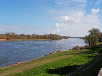 Randonnée Cyclotourisme Saint-Laurent-Nouan - Bois Renard - Blois et retour.  - Photo