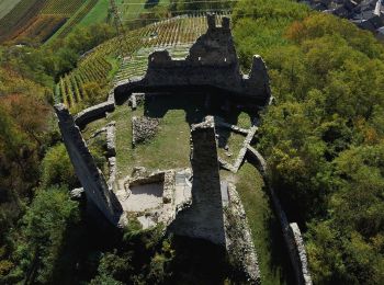 Tour Zu Fuß Levico Terme - Sentiero del Ronco - Photo