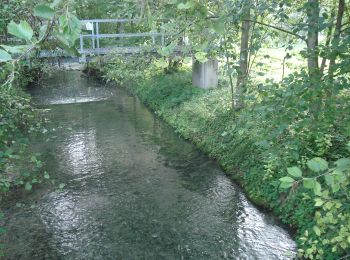 Tocht Te voet Rottenburg am Neckar - Krreuzerfeld-Bad Nidernau - Photo