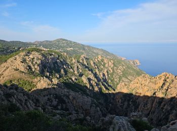 Trail Walking Piana - Sentier des muletiers  - Photo